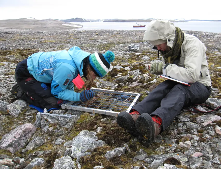 Students counting moss