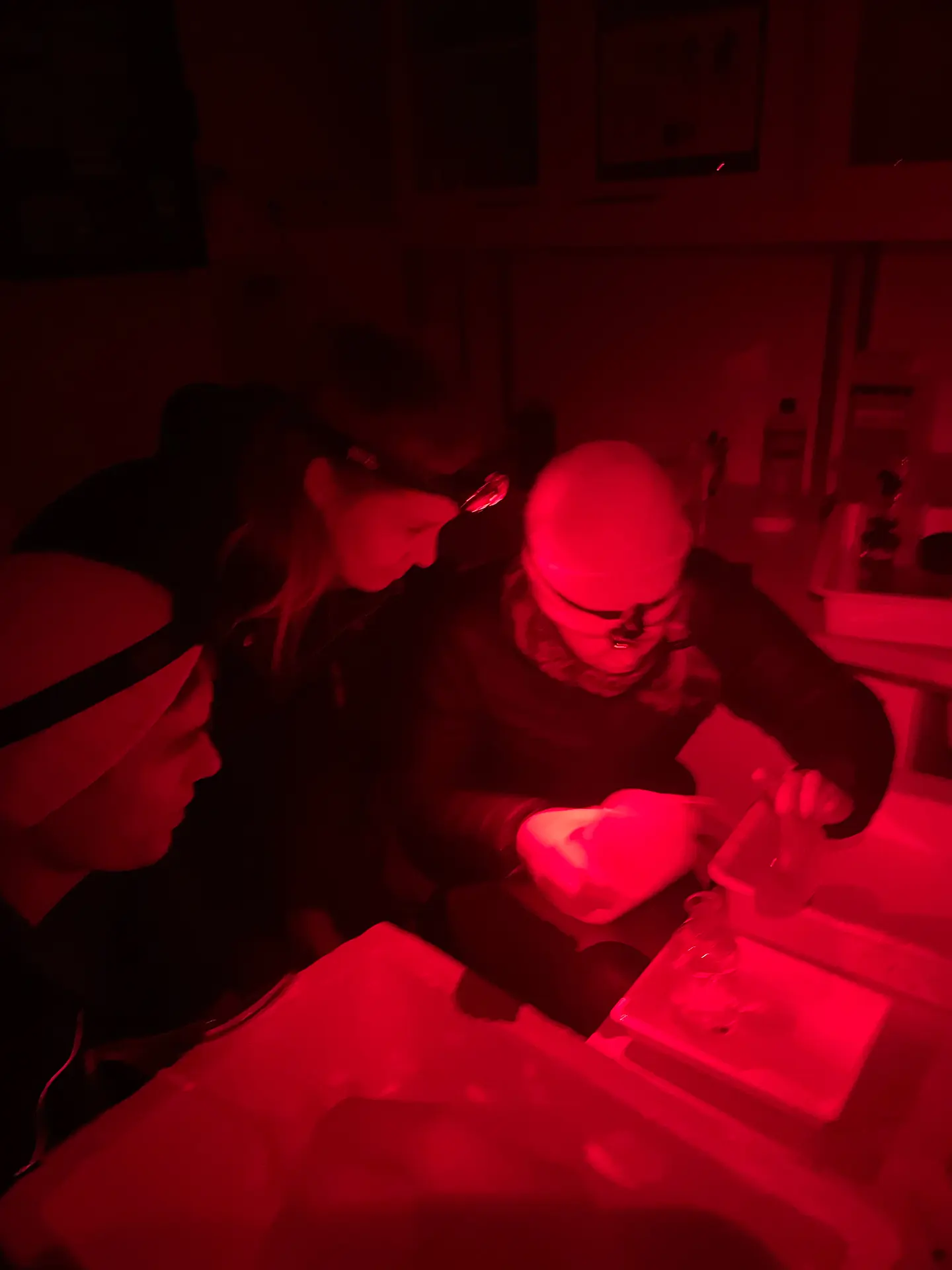 Lab work: Handling the samples was time-consuming, but well worth the effort. The researchers collected valuable data for further study. Photo: Private