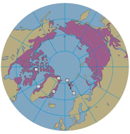 Distribution of permafrost