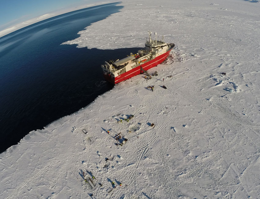 Ship anchored at the ice edge