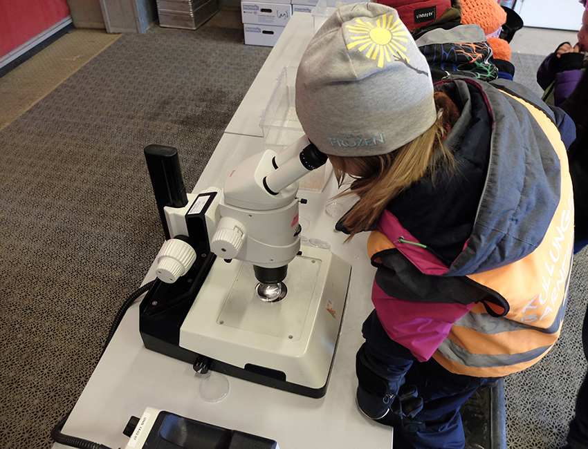 A young scientist studying copepods in a microscope. Photo: Inger Lise Næss/UNIS