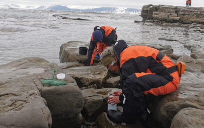 Featured image for 'Major biological changes on the shoreline of Svalbard'