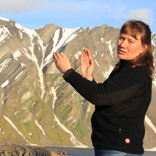 Featured image for: Introducing UArctic Chair Hanne H. Christiansen