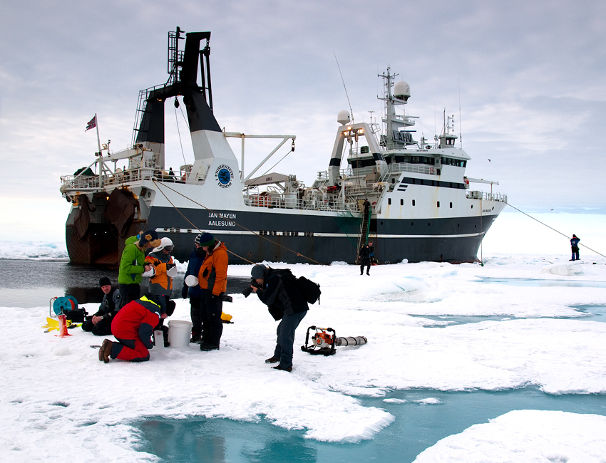 AB202 Marine Arctic Biology (15 ECTS) UNIS